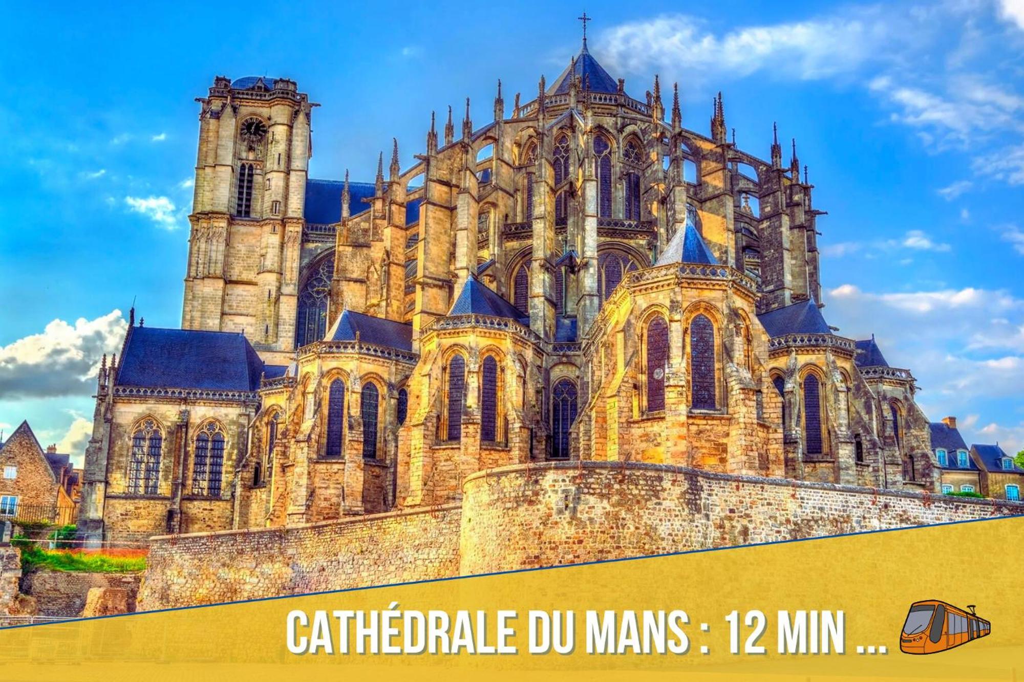 Appartement Comfort - Netflix - Wifi Fibre - Parking - Proche Circuit Des 24h & Centre-ville - Accordhebergementconciergerie *