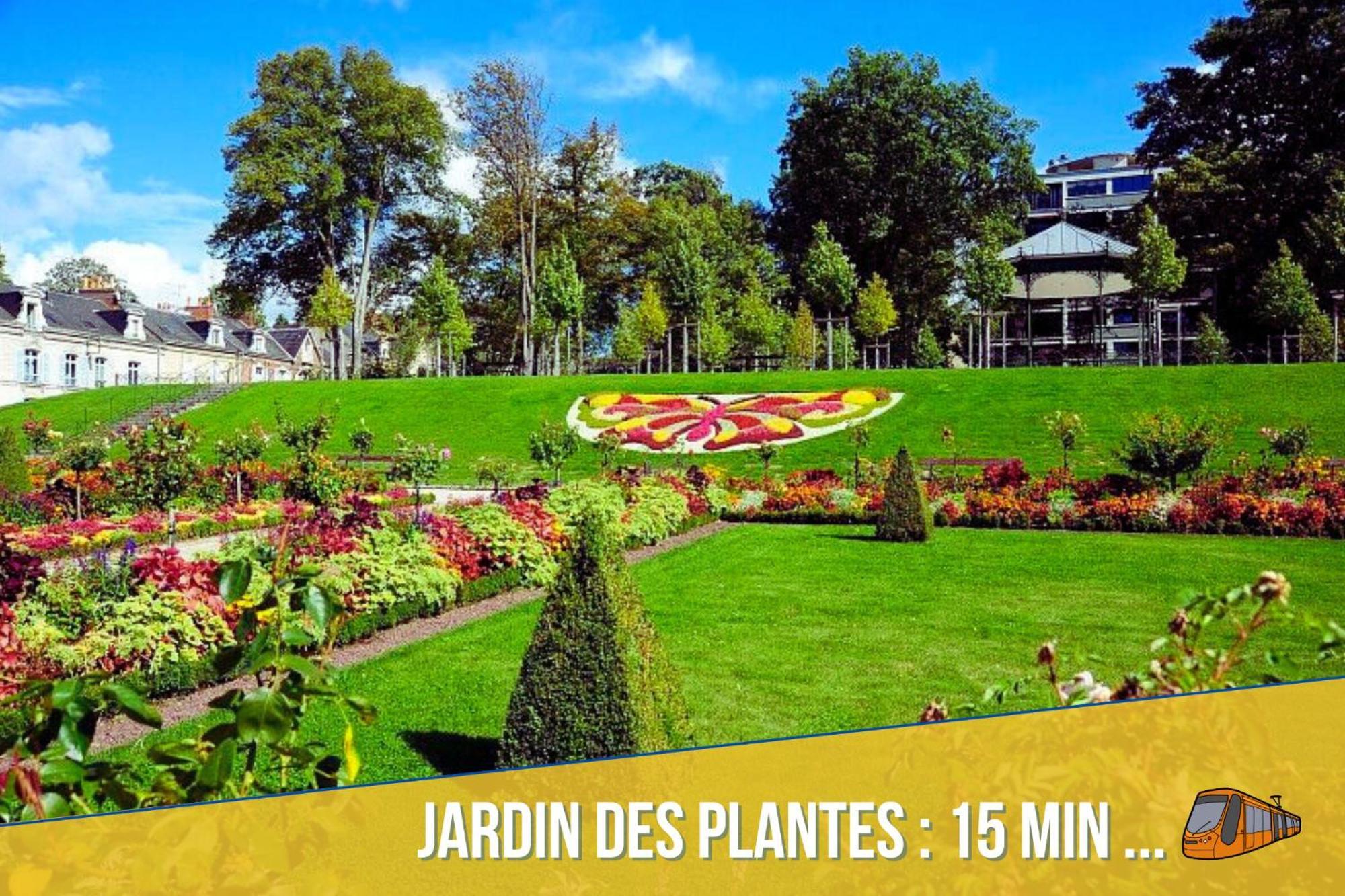 Appartement Comfort - Netflix - Wifi Fibre - Parking - Proche Circuit Des 24h & Centre-ville - Accordhebergementconciergerie